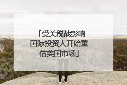 受关税战影响 国际投资人开始重估美国市场