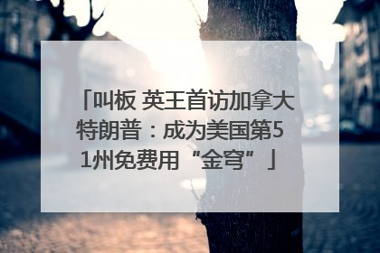 叫板 英王首访加拿大 特朗普：成为美国第51州免费用“金穹”
