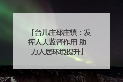台儿庄邳庄镇：发挥人大监督作用 助力人居环境提升