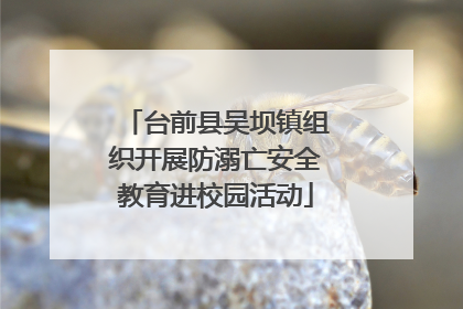 台前县吴坝镇组织开展防溺亡安全教育进校园活动