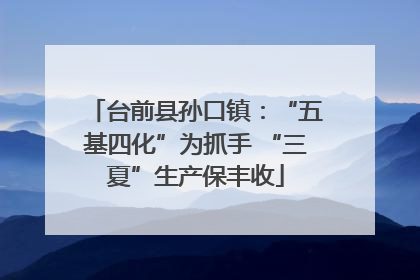 台前县孙口镇：“五基四化”为抓手 “三夏”生产保丰收