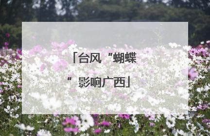 台风“蝴蝶”影响广西