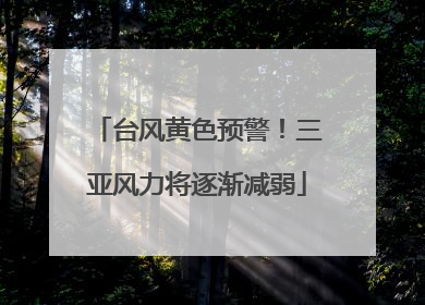 台风黄色预警！三亚风力将逐渐减弱