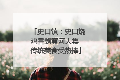 史口镇：史口烧鸡香飘黄河大集 传统美食受热捧