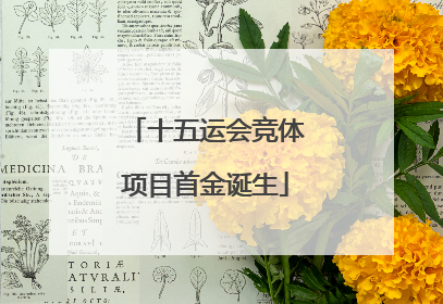 十五运会竞体项目首金诞生