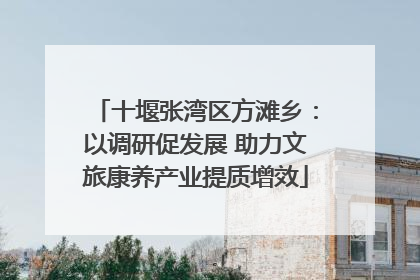 十堰张湾区方滩乡：以调研促发展 助力文旅康养产业提质增效