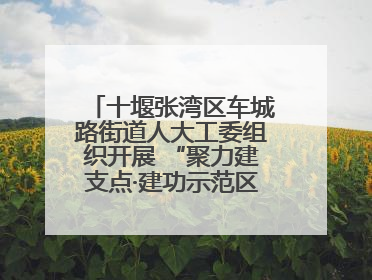十堰张湾区车城路街道人大工委组织开展 “聚力建支点·建功示范区”代表行动