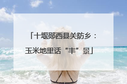 十堰郧西县关防乡：玉米地里话“丰”景