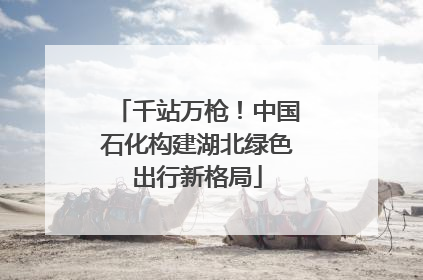 千站万枪！中国石化构建湖北绿色出行新格局