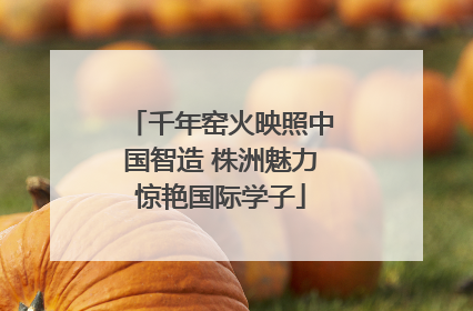 千年窑火映照中国智造 株洲魅力惊艳国际学子