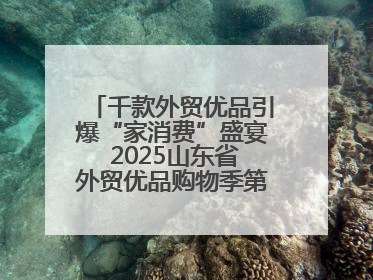 千款外贸优品引爆“家消费”盛宴 2025山东省外贸优品购物季第三期圆满收官