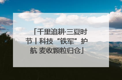千里追耕·三夏时节丨科技“铁军”护航 麦收颗粒归仓