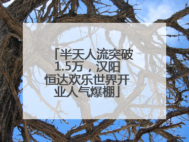 半天人流突破1.5万，汉阳恒达欢乐世界开业人气爆棚
