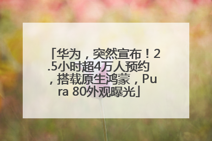 华为，突然宣布！2.5小时超4万人预约，搭载原生鸿蒙，Pura 80外观曝光