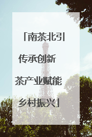 南茶北引传承创新 茶产业赋能乡村振兴