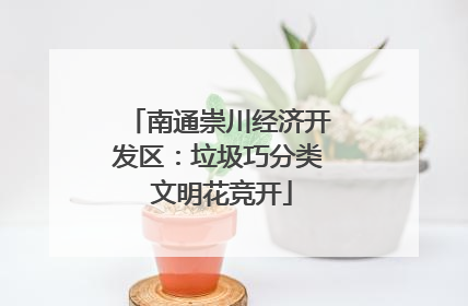 南通崇川经济开发区：垃圾巧分类 文明花竞开