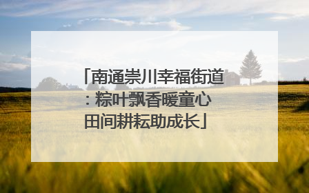 南通崇川幸福街道：粽叶飘香暖童心 田间耕耘助成长