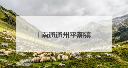 南通通州平潮镇：粽情六一 护苗成长多一“典”