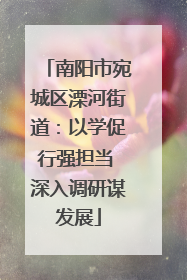 南阳市宛城区溧河街道：以学促行强担当 深入调研谋发展
