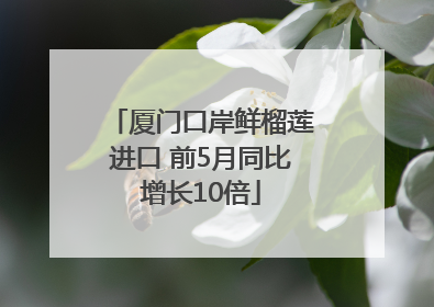 厦门口岸鲜榴莲进口 前5月同比增长10倍