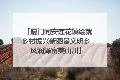 厦门同安莲花镇绘就乡村振兴新图景文明乡风润泽富美山川