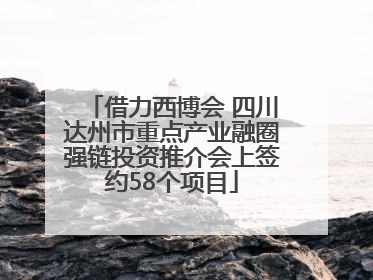 借力西博会 四川达州市重点产业融圈强链投资推介会上签约58个项目