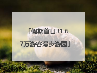 假期首日31.67万游客漫步游园