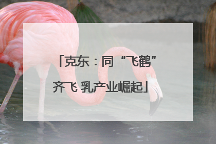 克东：同“飞鹤”齐飞 乳产业崛起