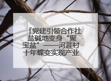 党建引领合作社 盐碱地变身“聚宝盆”——河涯村十年蝶变实现产业兴村群众富