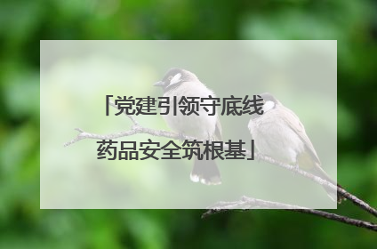 党建引领守底线 药品安全筑根基