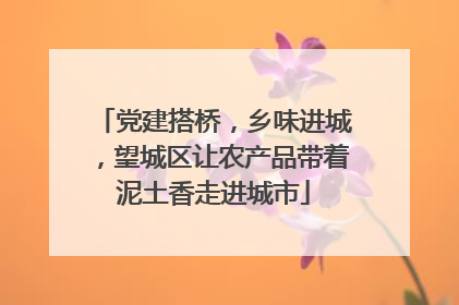 党建搭桥，乡味进城，望城区让农产品带着泥土香走进城市
