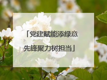 党建赋能添绿意 先锋聚力树担当