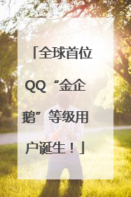 全球首位QQ“金企鹅”等级用户诞生！