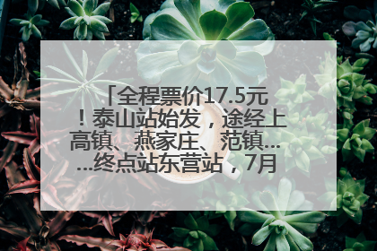 全程票价17.5元！泰山站始发，途经上高镇、燕家庄、范镇……终点站东营站，7月1日开通！