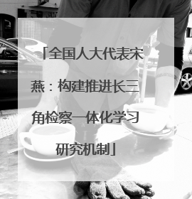 全国人大代表宋燕：构建推进长三角检察一体化学习研究机制