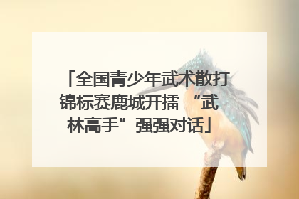 全国青少年武术散打锦标赛鹿城开擂 “武林高手”强强对话