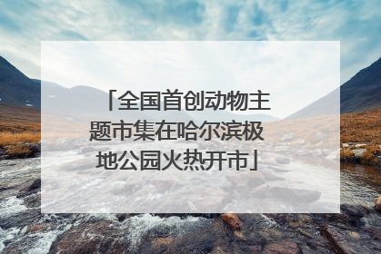 全国首创动物主题市集在哈尔滨极地公园火热开市