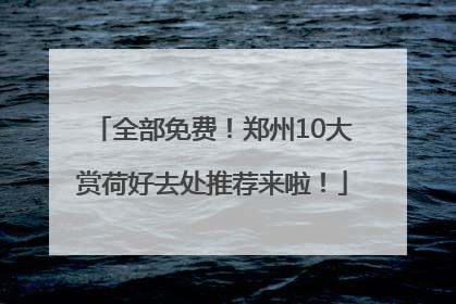 全部免费！郑州10大赏荷好去处推荐来啦！