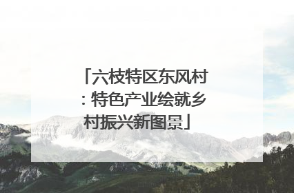 六枝特区东风村：特色产业绘就乡村振兴新图景