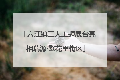 六汪镇三大主题展台亮相瑞源·繁花里街区
