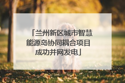 兰州新区城市智慧能源岛协同耦合项目成功并网发电