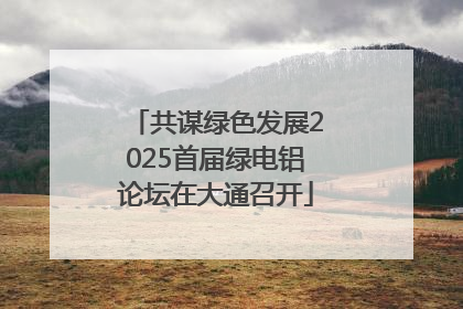 共谋绿色发展2025首届绿电铝论坛在大通召开