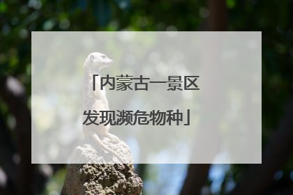 内蒙古一景区发现濒危物种