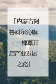 内蒙古阿鲁科尔沁旗：一棵草开启产业发展之路