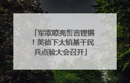 军歌嘹亮誓言铿锵！英德下太镇基干民兵点验大会召开