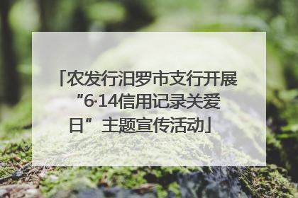 农发行汨罗市支行开展“6·14信用记录关爱日”主题宣传活动