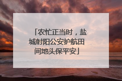 农忙正当时，盐城射阳公安护航田间地头保平安