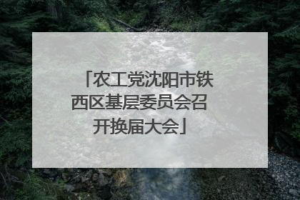 农工党沈阳市铁西区基层委员会召开换届大会