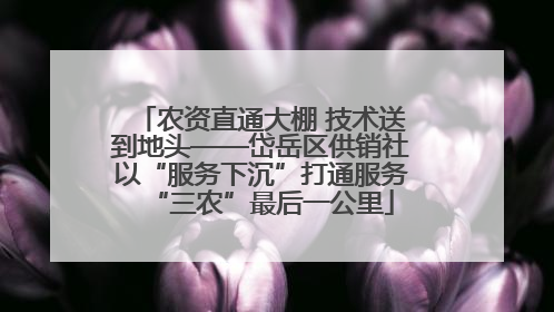 农资直通大棚 技术送到地头——岱岳区供销社以“服务下沉”打通服务“三农”最后一公里