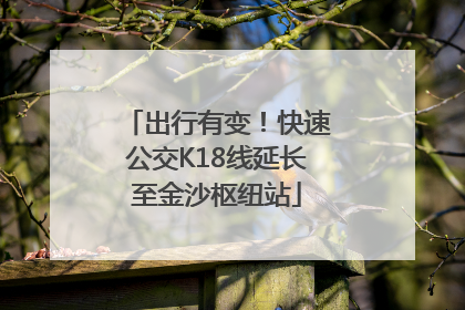 出行有变！快速公交K18线延长至金沙枢纽站
